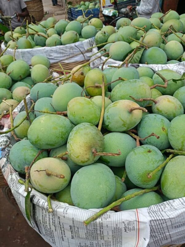 ২০ কেজি গোপালভোগ