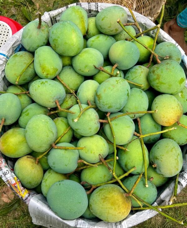 ২০ কেজি গোবিন্দভোগ